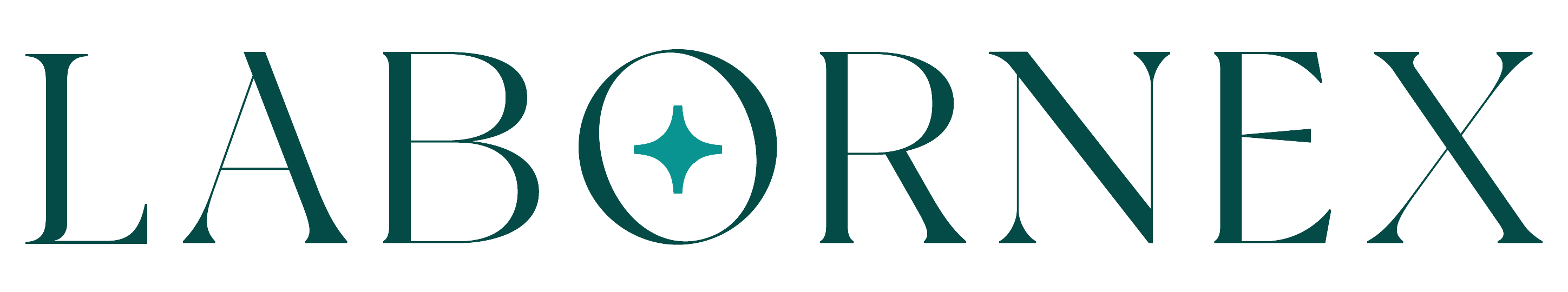 logo de website movil