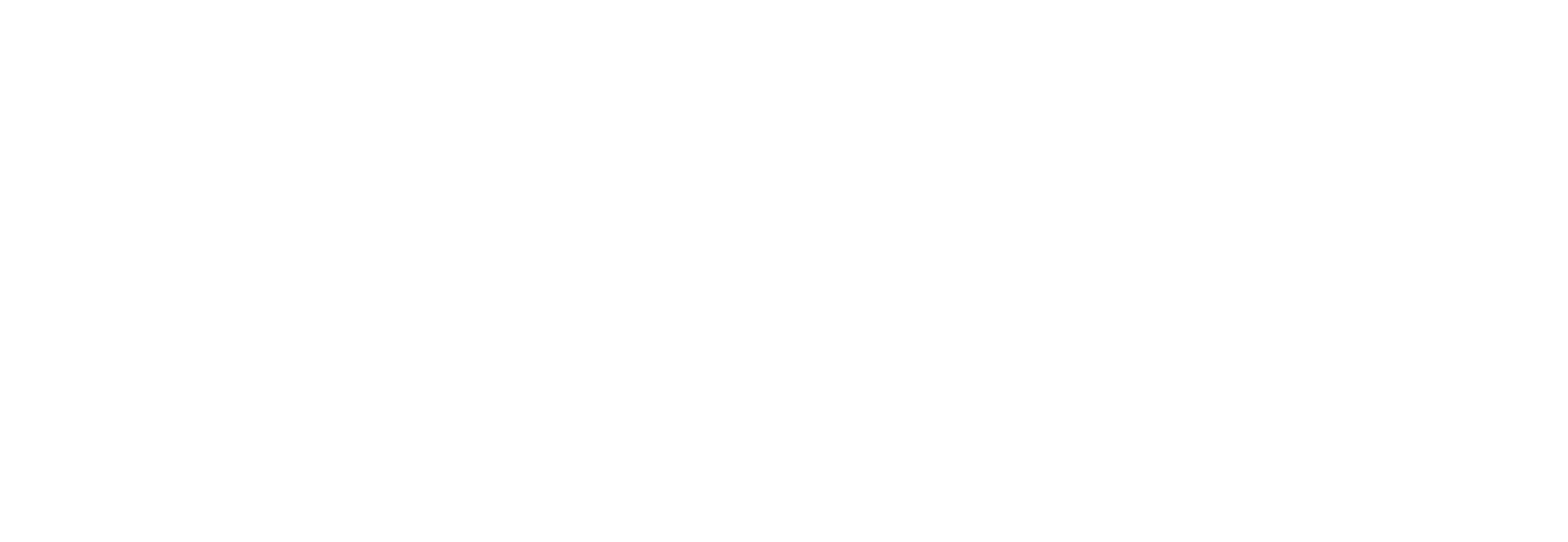 logo de website